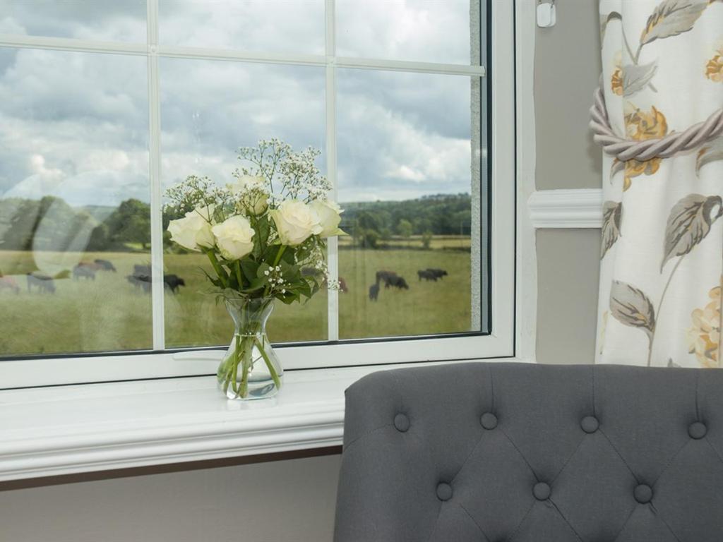Bed and Breakfast Poole Farm Launceston Habitación foto